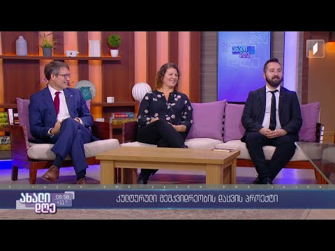 #ახალიდღე კულტურული მემკვიდრეობის დაცვის პროექტი