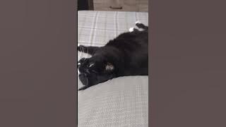 Maya part 2