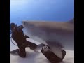 Shart gets rotated