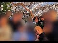 重大局面 安倍昭恵 私的桜を見る会