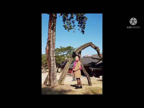 원곡김용임.울지마라 세월아.노래이지수.
