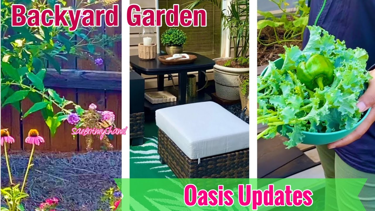 NEW BACKYARD GARDEN | OASIS UPDATE