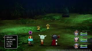 Dqx Offline Switch Battle Lag