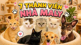 Tất Cả Các Thành Viên Nhà Maly | maly.gaugau