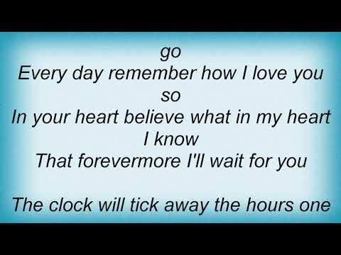 Andy Williams - I Will Wait For You Lyrics