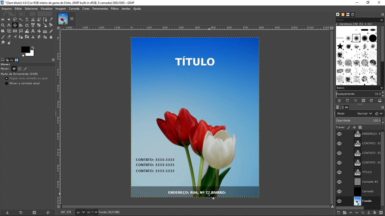 Capa do Vídeo