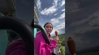 I Rode The Drop Tower On A Whim, Regretted It When My Corn Dog Didnt Make It.