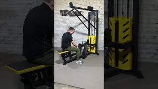 Грузоблочный тренажер Вертикальная тяга WD-1005