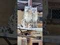 Un Joven Leopardo Devolvió la Alegría al Mayor 🐆#shortsvideo