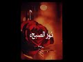 شيله نور الصبح حاله وتس اب 2019