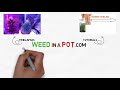 Monitoring Your Grow Space Remotely
