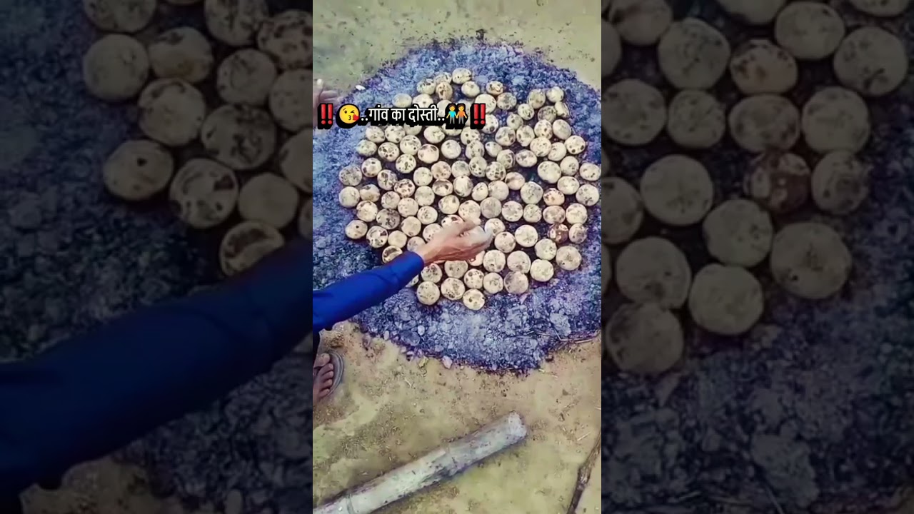 AK Raja Singh 🪭new comment 👉 gaon ❤️ka pyara 💞 Dosti..‼️