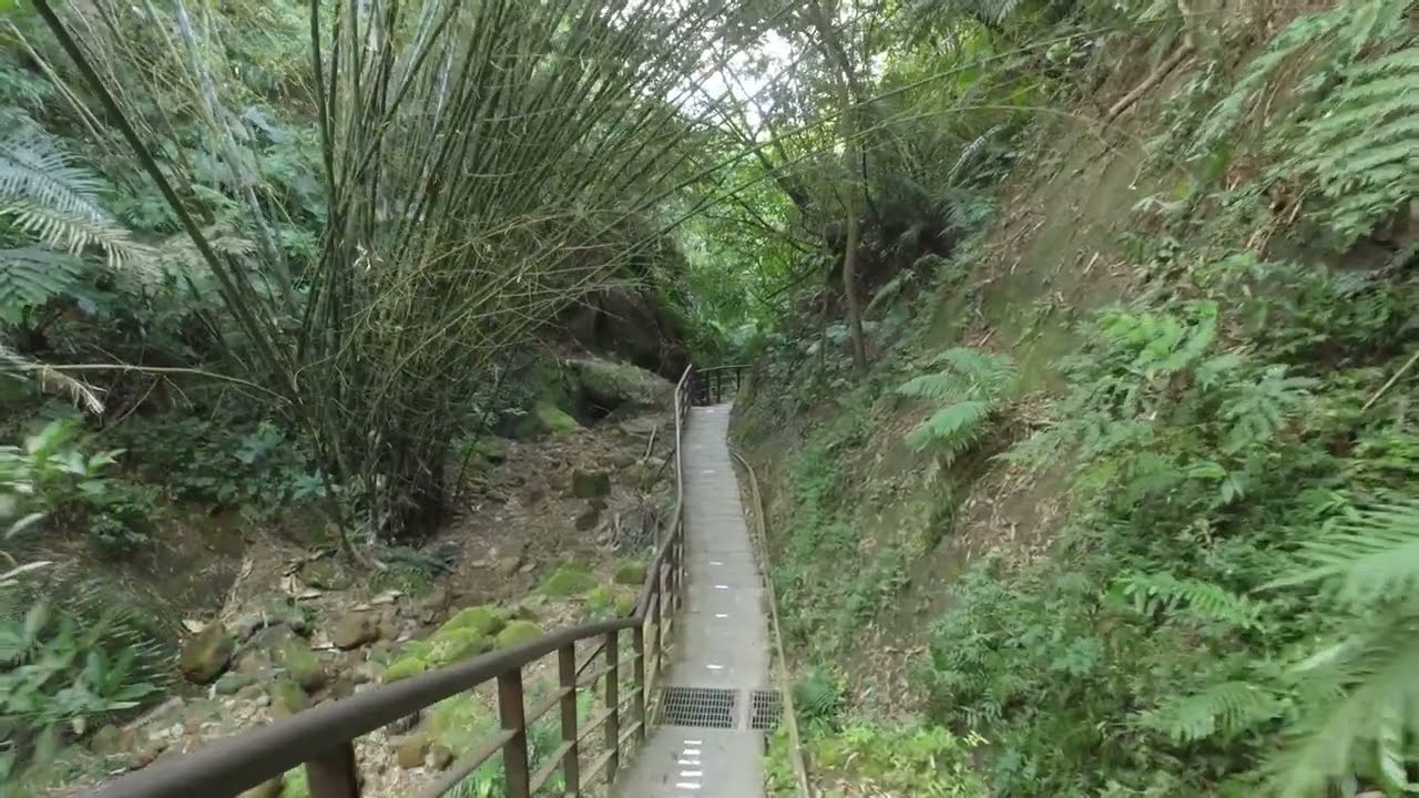 Taipei Walk  Leopard Mountain River Trail 豹山溪步道 20230311 OSMO