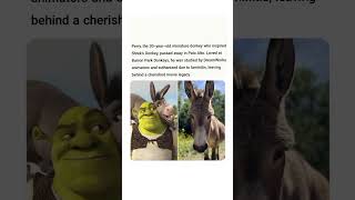 Perry, The 30-Year-Old Miniature Donkey Who Inspired Shreks Donkey.