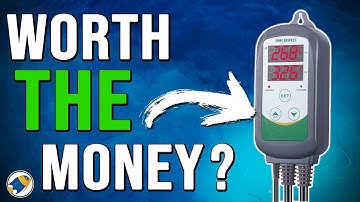 Inkbird ITC-308 Review - MR BRIGHTFRYED