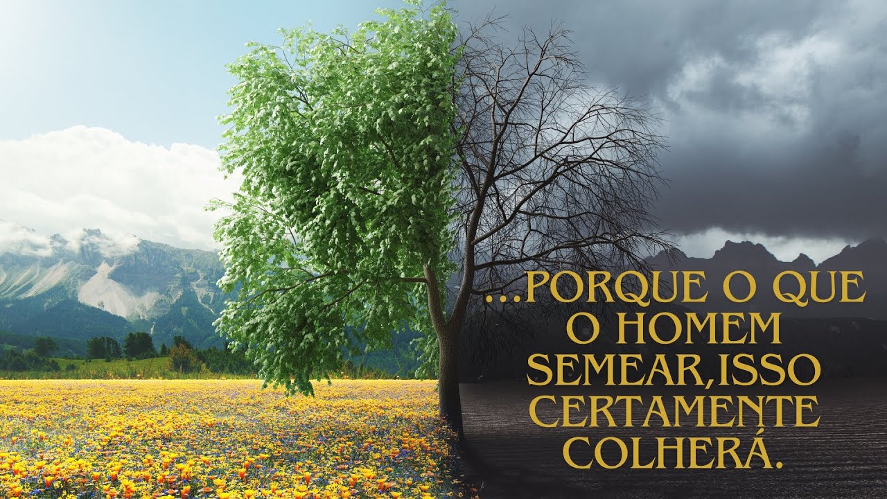 PORQUE O QUE O HOMEM SEMEAR,ISSO CERTAMENTE COLHERÁ. - YouTube