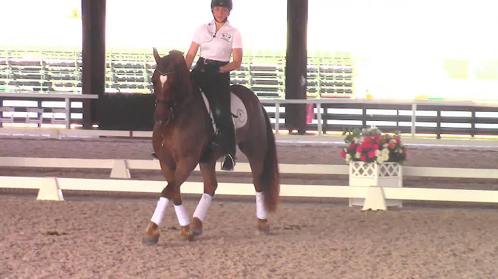 Debbie McDonald Teaching How to Start Passage