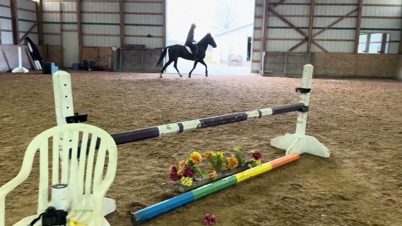 Ishy at Hablyn Hills 