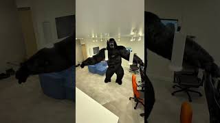 Daaaad fuuuu poop cat mode💕😼