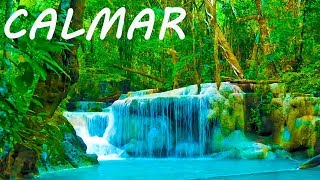 MÃºsica Relajante 24/7 ðŸ”´ Calmar la Mente - RelajaciÃ³n y Dormir 2