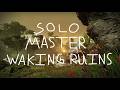 Solo Master Waking Ruins | Solar Warlock | Renegades | Destiny 2