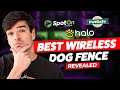 Best wireless dog fence system revealed can you use it