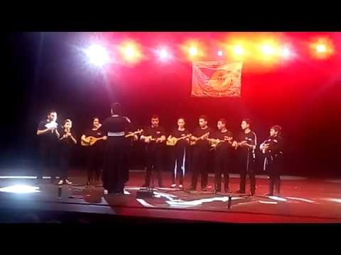 ქართული მელოდიების პოპური. kartuli melodiebis popuri