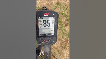 MANTICORE and the M8 COIL sniper the TARGETS amongst the TRASH #metaldetecting