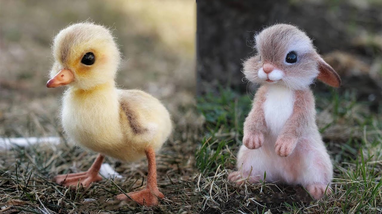Cute baby animals Videos Compilation cutest moment ever of