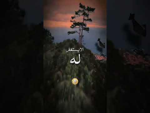 أن يذكرك الله خير لك من الجنة اكسبلور المصحف دويتو الرحمن العظماء تيك توك