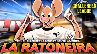 paiN Gaming vs Team Solid | ESL Challenger League Season 47 South America | 🤙🐭🤙