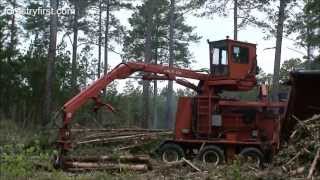 Morbark 2355 Chipharvester in Pine Plantation Part 1