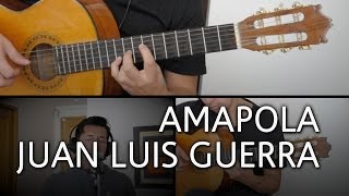 Amapola Juan Luis Guerra Guitarra Cover [Mauro Martinez] chords