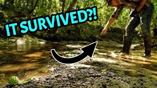 Flooding Rain Uncovers the Lost Treasures of a Forgotten Town... I Made an UNBELIEVABLE Find!