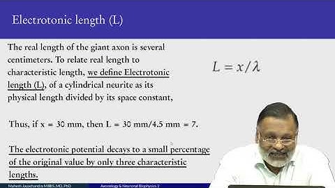 14 Axonology, Neuronal Biophysics (2)