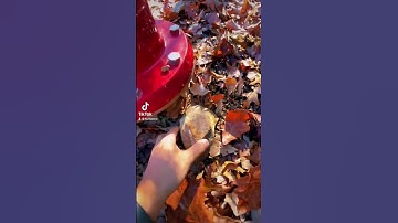 Nano’s (like this) are the smallest size of cache that you can find! 👀