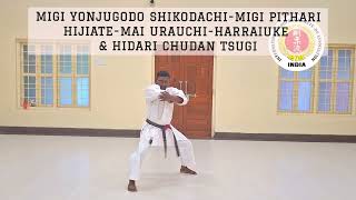 Kata - Mawashiuke Shodan