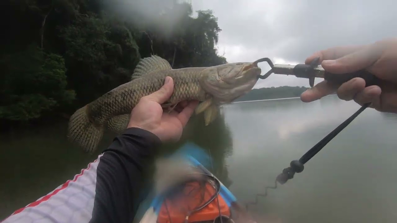 Pescaria no parque passauna 