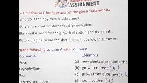 Class 5 science ch 1 quick assignment ex A, B, C