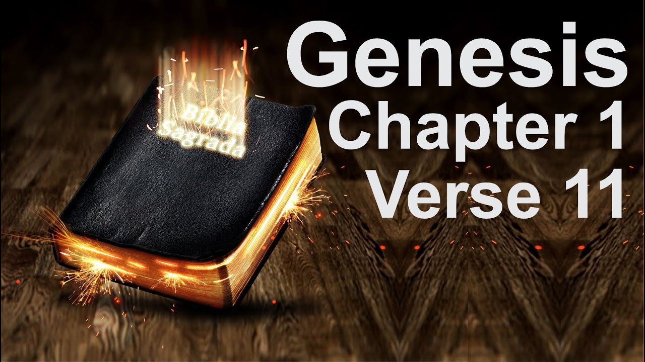 Book Of Genesis Chapter 1 Verse 11 YouTube book-of-genesis-chapter-1-verse-11-youtube