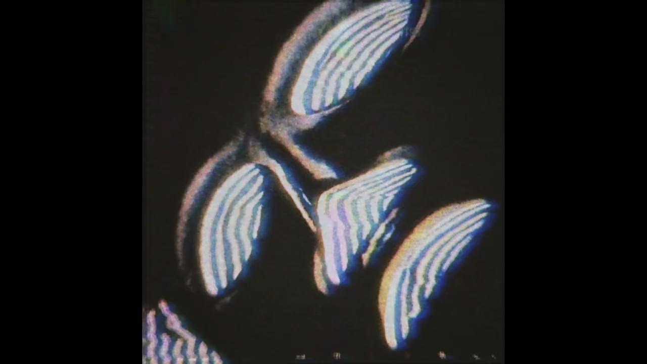 Evan Fong - miss melancholy (Slowed + Reverb) Evan Fong - miss melancholy (Slowed + Reverb)