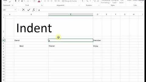 How To Use Increase Indent and Decrease Indent in MS Excel 2013 Tutorial p14 Urdu Hindi