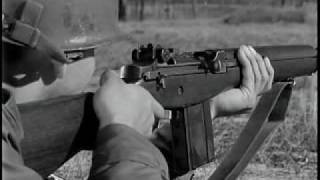 The M14 Rifle