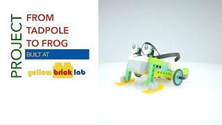 From Tadpole to Frog with LEGO® WeDo 2.0