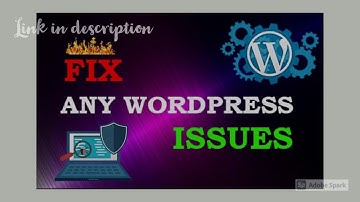 I will fix wordpress website errors and issues in 24 hours