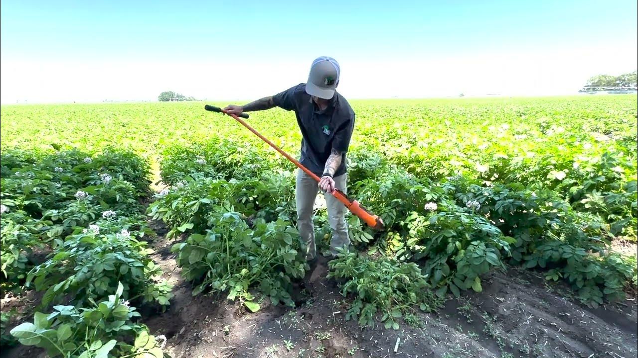 Hand Auger Bucket Auger Soil Auger AMS 23/4" OnePiece Mud Auger