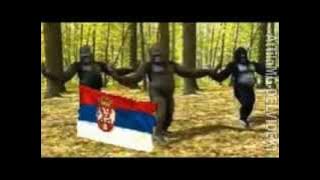 Srpske patriotske pjesme :)