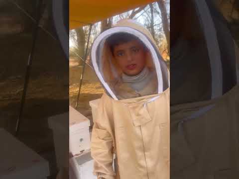 حل موقت لمشكلة طائر الوروار طائر الوروار ياكل قدر كبير من النحل و يمنع النحل من السروح اكسبلور