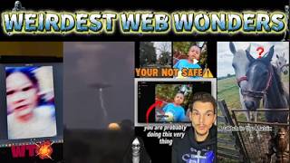 weirdest web wonders vol 75