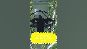 AI Drone Scans Strawberry Farms in 1 Second? 🍓🤖 (This is the Future!) #aidrone #smartfarming